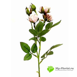 Роза кустовая нюдово-розовая НИАГАРА 42см