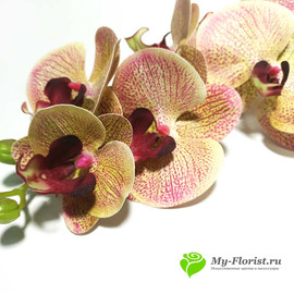 Орхидея КИМОНО силикон 97 см. (Тигровая) - Фото1. Купить в розницу