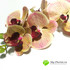 Орхидея КИМОНО силикон 97 см. (Тигровая) фото малое1