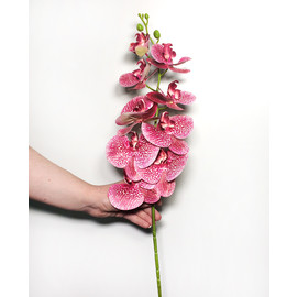 Орхидея КИМОНО силикон 97 см. (Лиловая пестрая) - Фото2. Купить в розницу