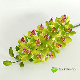 Орхидея цимбидиум 90 см. (Зеленый)