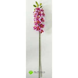 Орхидея цимбидиум 90 см. (Лиловый с белым) - Фото1. Купить в розницу