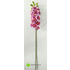 Орхидея цимбидиум 90 см. (Лиловый с белым) фото малое1