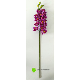 Орхидея цимбидиум 90 см. (Лиловый) - Фото1. Купить в розницу