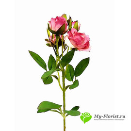 Роза кустовая малиновая НИАГАРА 42см