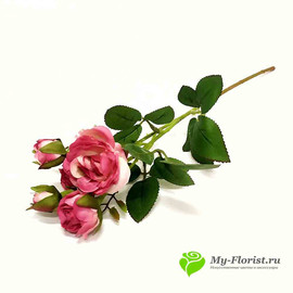 Роза кустовая малиновая НИАГАРА 42см - Фото2. Купить в розницу