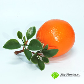 Апельсин с веточкой 8 см. (Пластик) - Фото1. Купить в розницу