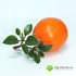 Апельсин с веточкой 8 см. (Пластик) фото малое1
