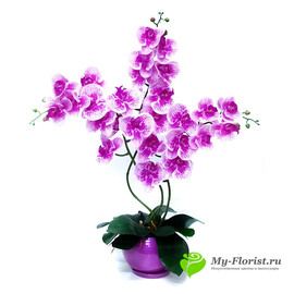 Орхидея силиконовая в кашпо H-75 см - Фото. Купить в розницу