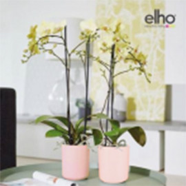 Кашпо для орхидеи ELHO D-12,5 H-15 1,5л (Нежно-розовое)
