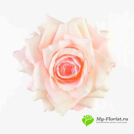 Роза ПРИМАВЕРА D-8см Н-4см Бело-розовая - Фото1. Купить в розницу
