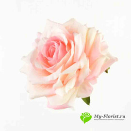 Роза ПРИМАВЕРА D-8см Н-4см Бело-розовая - Фото2. Купить в розницу