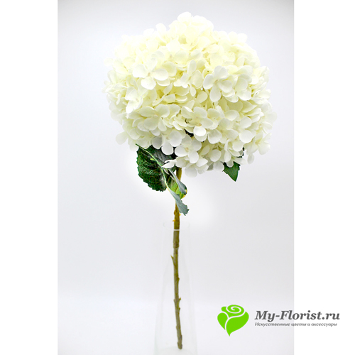 Гортензия МЕГА H-80 см/ D-20см (Белая) - Цветы премиум класса от My-Florist.ru