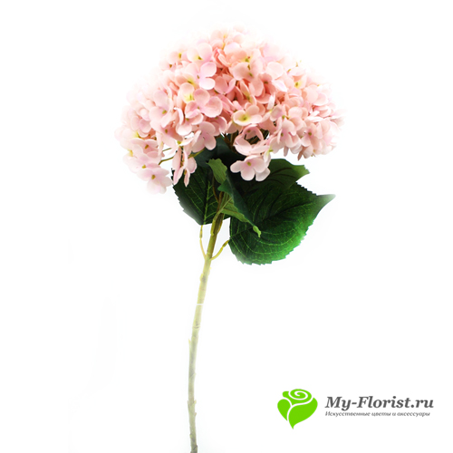 Гортензия МЕГА H-80 см/ D-20см (Розовая) - Цветы премиум класса от My-Florist.ru