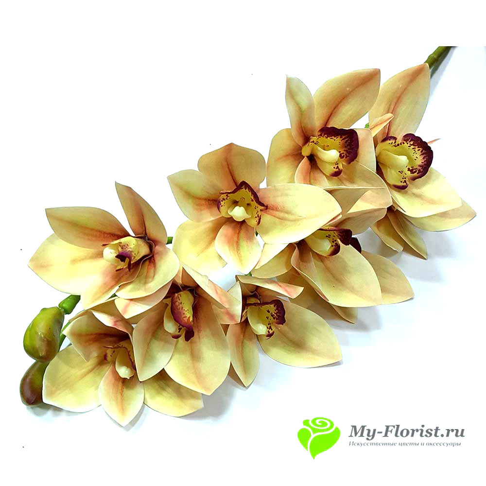 Орхидея Цимбидиум "Реалистик" 76см. (Песочная) - Цветы премиум класса от My-Florist.ru