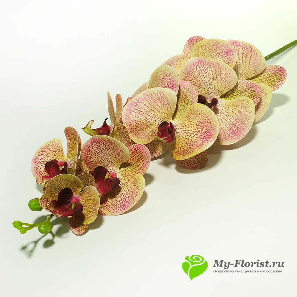 Орхидея КИМОНО силикон 97 см. (Тигровая) - Цветы премиум класса от My-Florist.ru