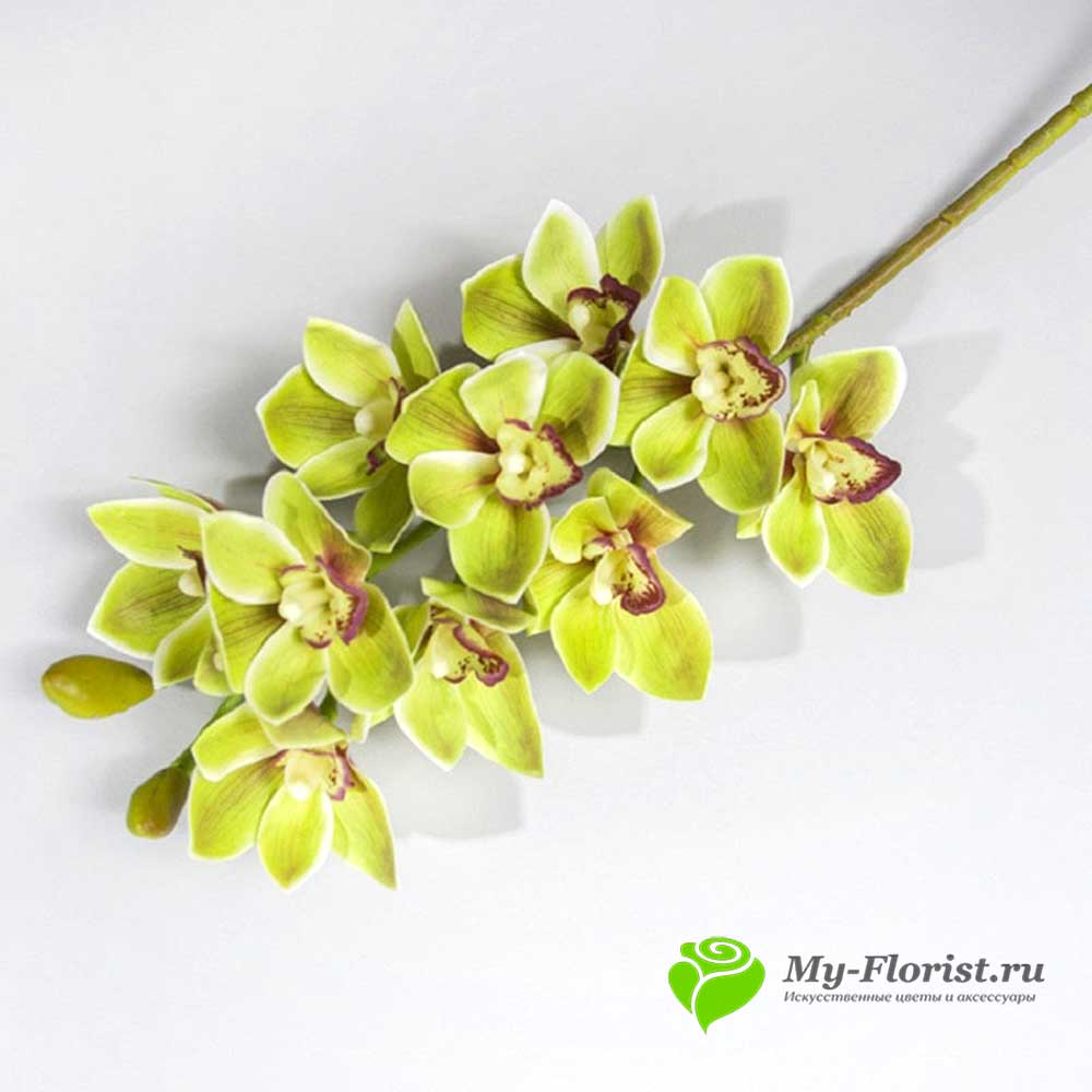 Орхидея Цимбидиум "Реалистик" 76см. (Зеленая) - Цветы премиум класса от My-Florist.ru