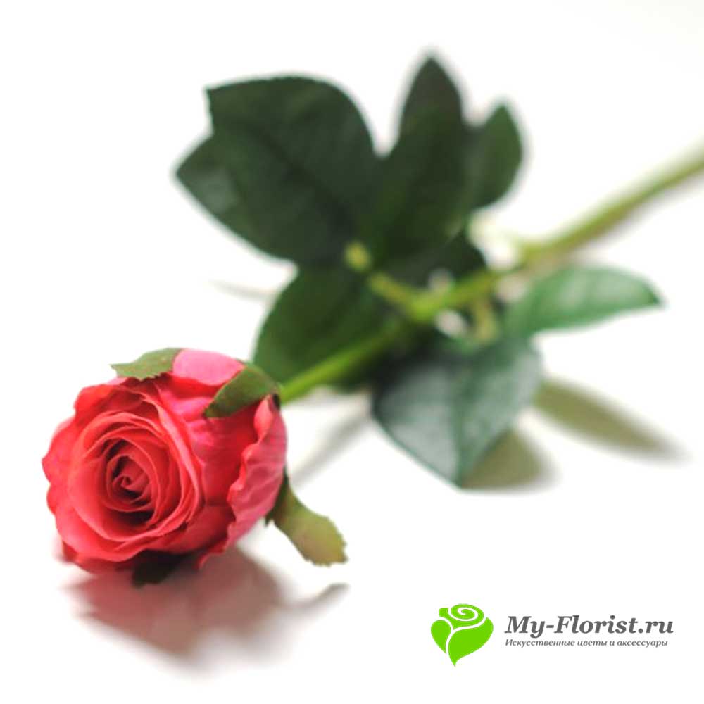 Роза "Эдельвейс" латекс 70 см. (Малиновая) - Силиконовые цветы от My-Florist.ru