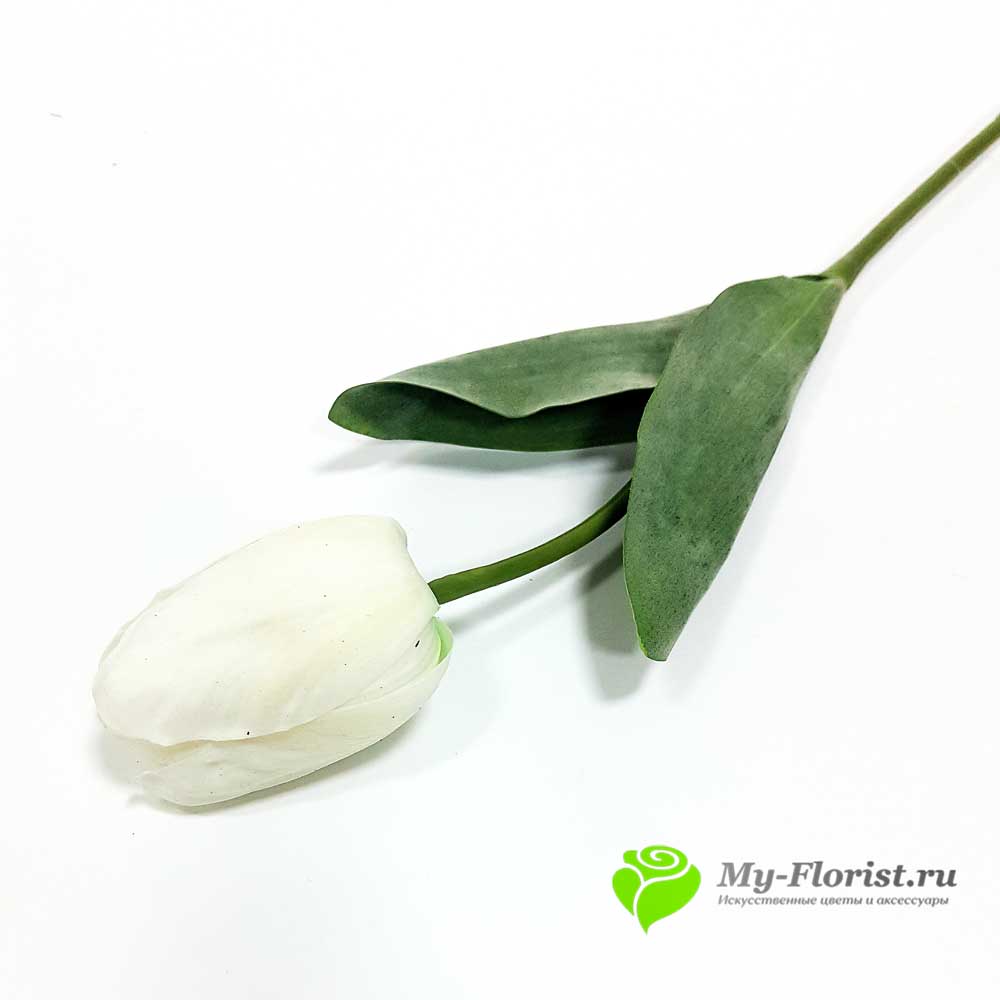 Тюльпан Реалистик "Манхеттен" 55см. (Белый) - Цветы премиум класса от My-Florist.ru