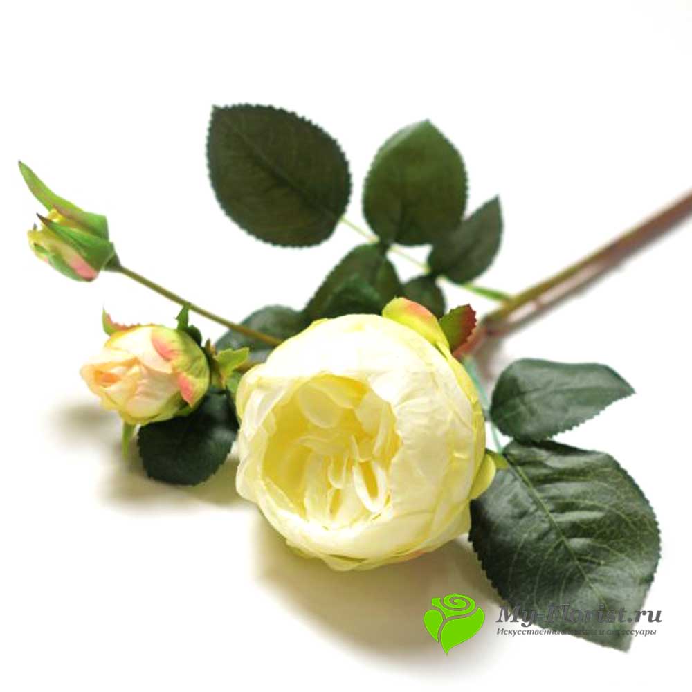 Цветы из силикона - Роза пионовидная на ветке силикон "Реалистик" 61 см.(Белая)