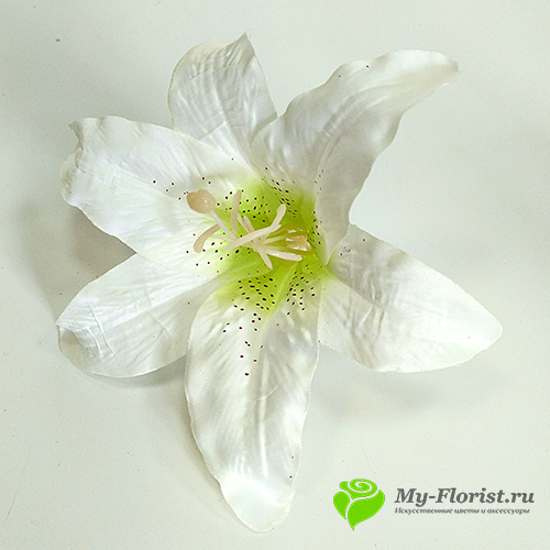 Головы искусственных цветов - Лилия "Тигровая" цветок D-19 см. (Бело-Зеленая)