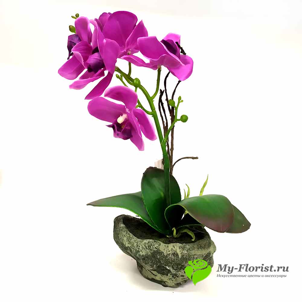 Орхидея лиловая в кашпо H-39 см (Силикон) в интернет-магазине My-Florist.ru