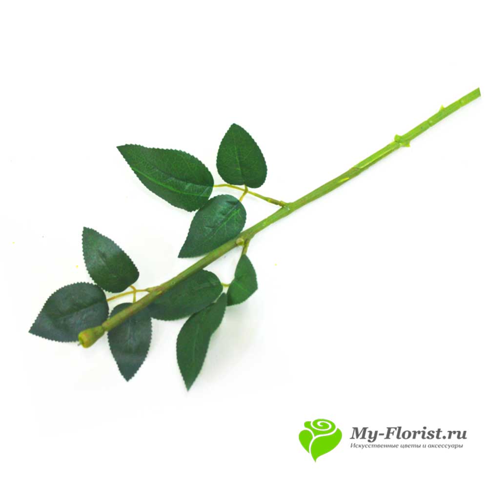Стебель для розы с листьями 72см. купить в интернет-магазине My-Florist.ru