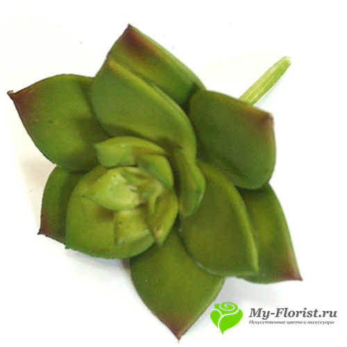 Искусственная зелень - Суккулент Каменная роза латекс 9см. (Зеленый)