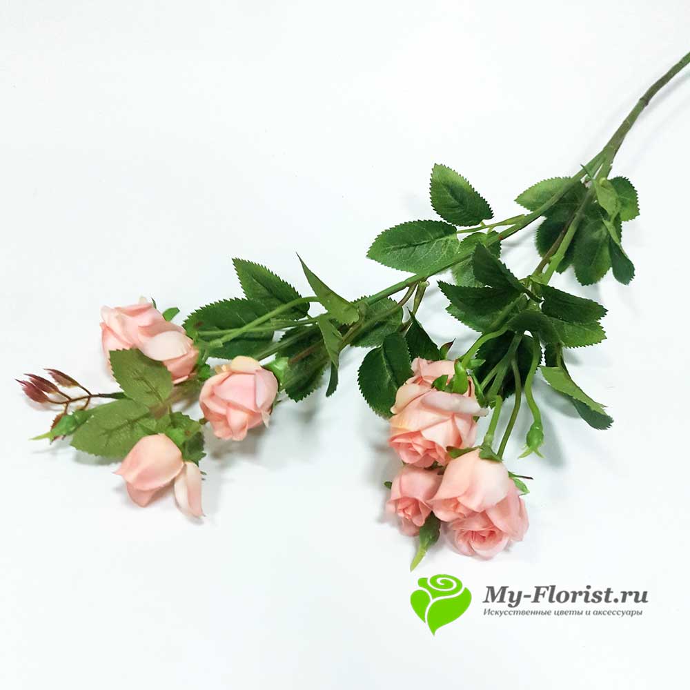 Кустовые розы для интерьера - Кустовая роза "Милания" ветка 70 см. (Кремовая)