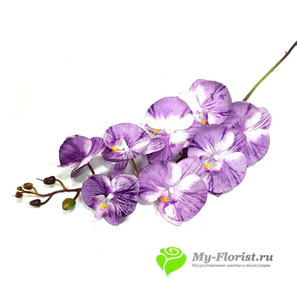 Орхидея "Фьюжн" 102 см. (Сиреневая) - Цветы премиум класса от My-Florist.ru