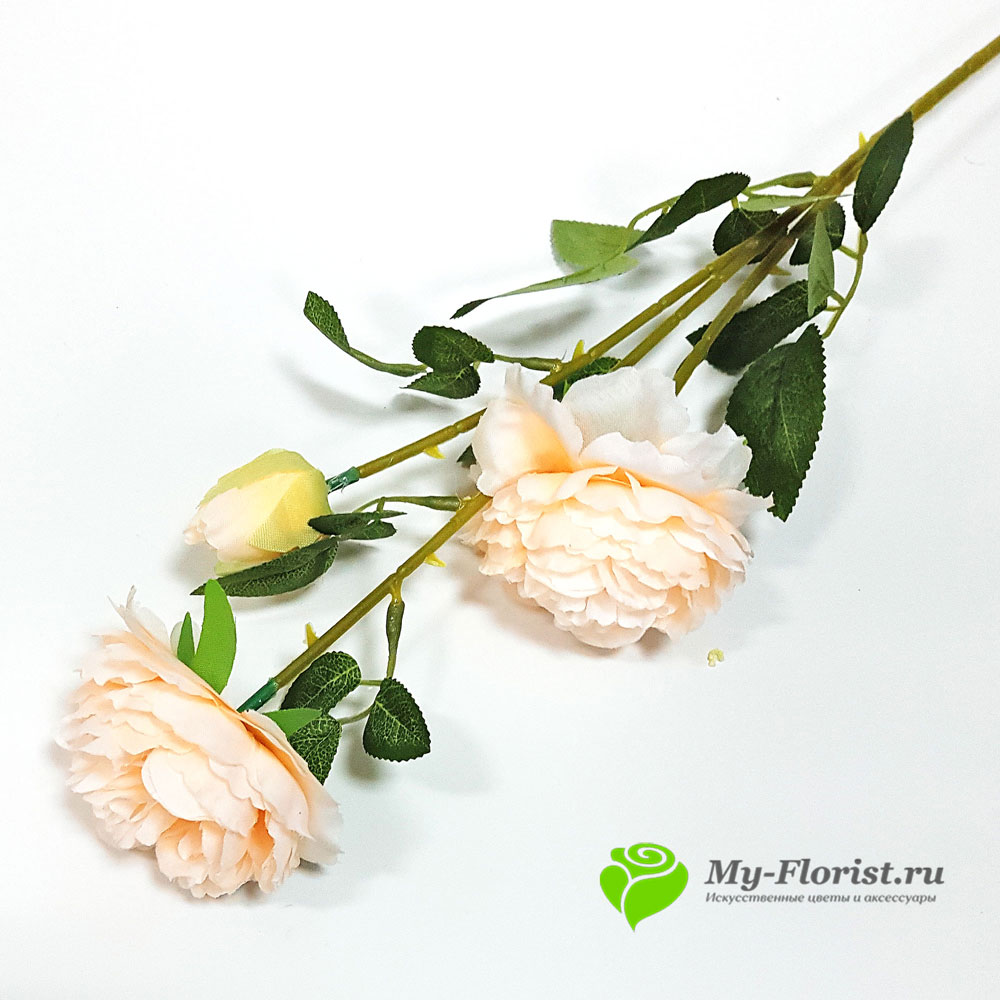 Пионы ветка персиковые купить в магазине My-Florist.ru