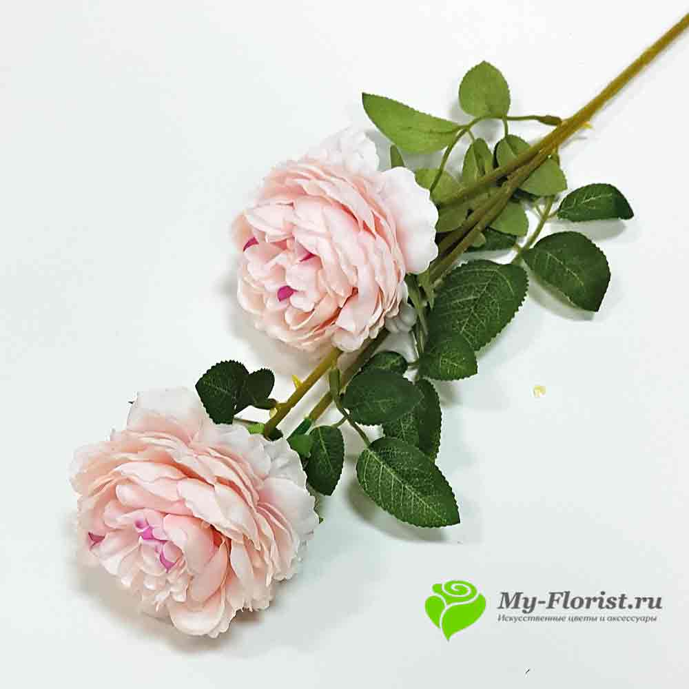 Пионы ветка розовые купить в магазине My-Florist.ru