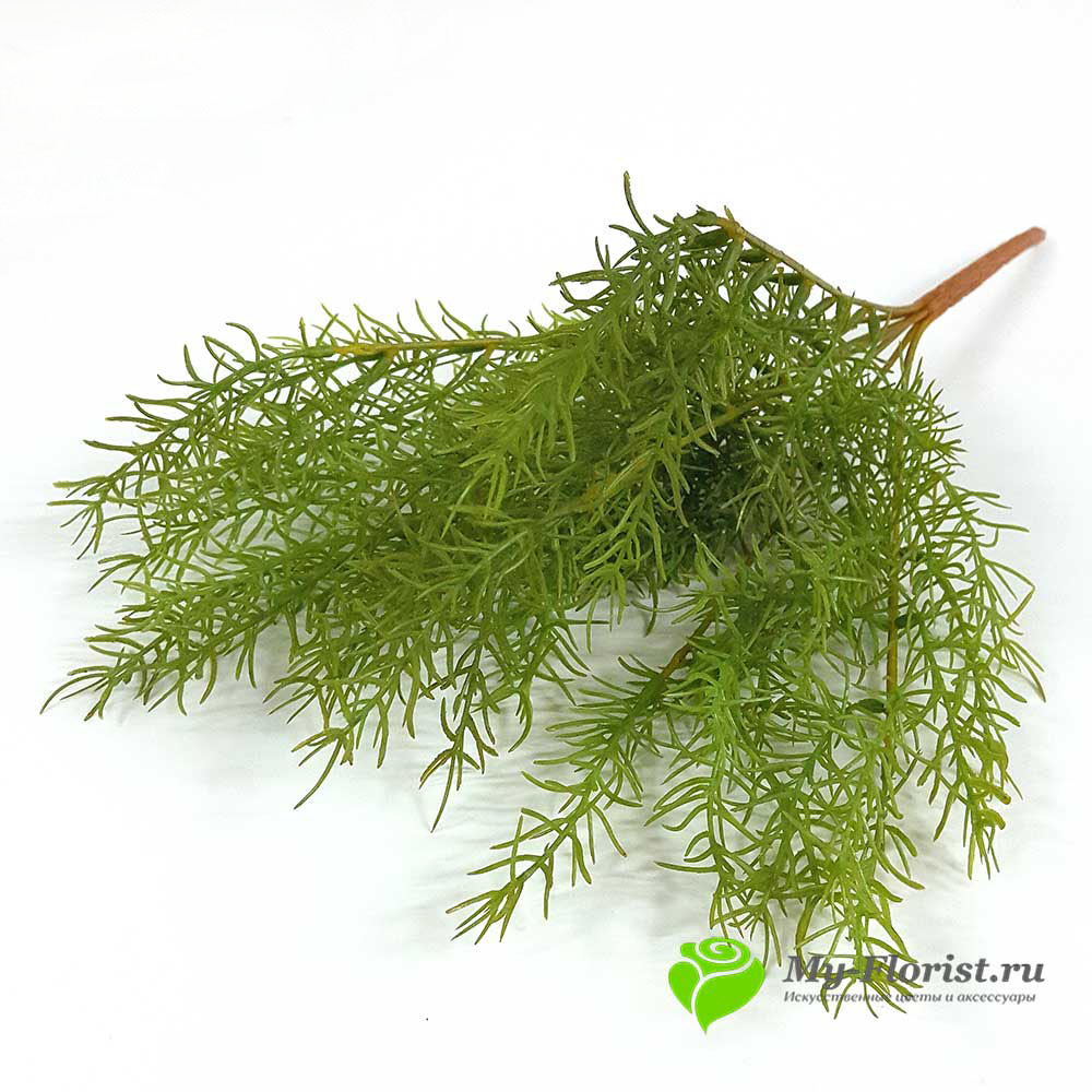 декоративная зелень и листья - Аспарагус латекс 44 см. (зеленый) 