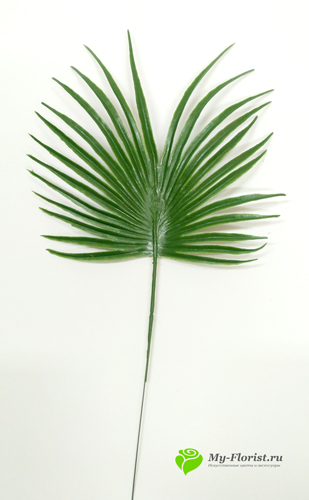 декоративная зелень и листья - Лист пальмы пластиковый круглый 23 см.