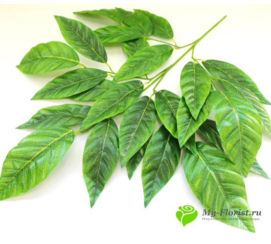 декоративная зелень и листья - Ветка листьев шелк 70 см