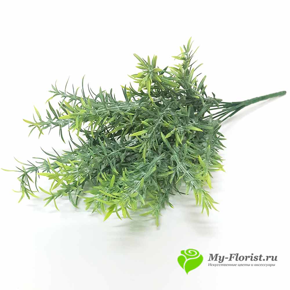 декоративная зелень и листья - Аспарагус с напылением 34 см. (Светло-зеленая)