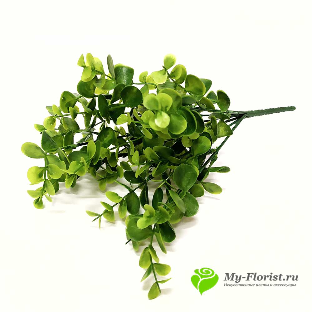 декоративная зелень и листья - Эвкалипт куст 34 см. (зеленый)